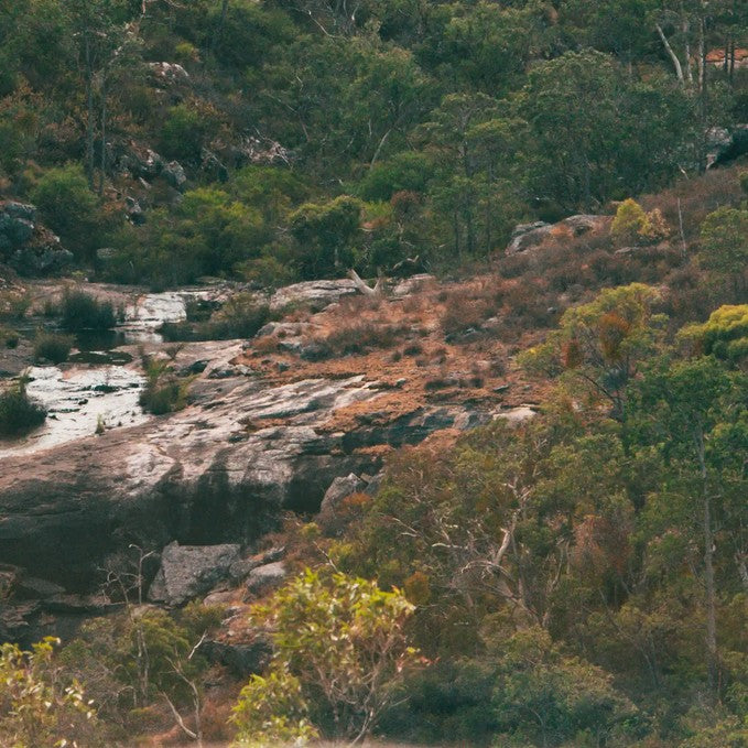 Unyoked 'Peggy' - 1 Night Weekdays