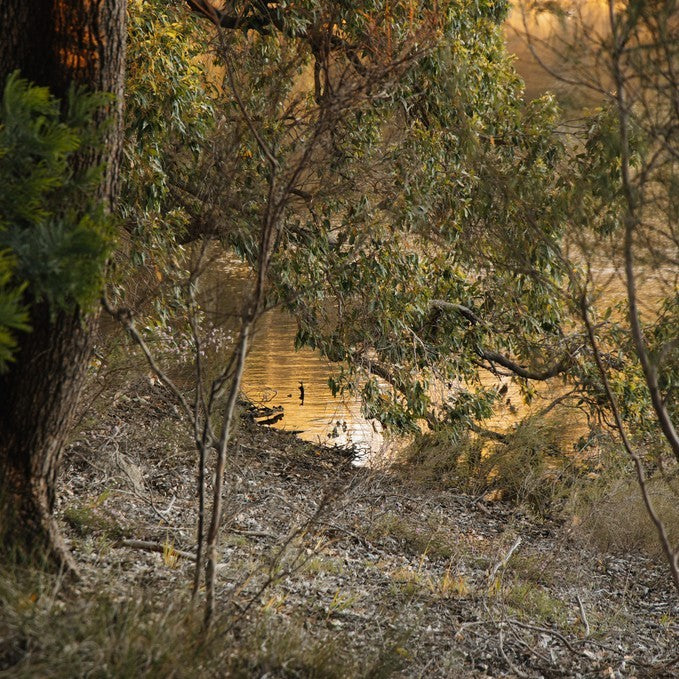 Unyoked 'Alby' - 2 Nights Weekdays