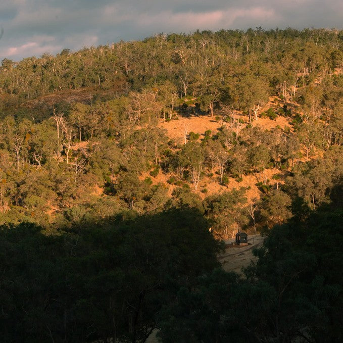 Unyoked 'Colin' - 2 Nights Weekdays