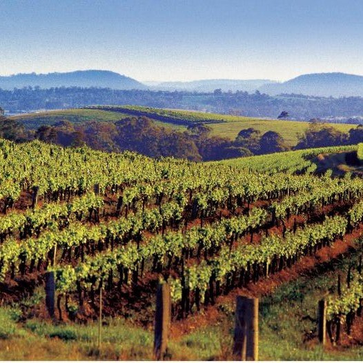 Cellar Door Spirit Tasting At The Grove Distillery - We Wander