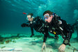 Discover Local Diving In Perth - We Wander