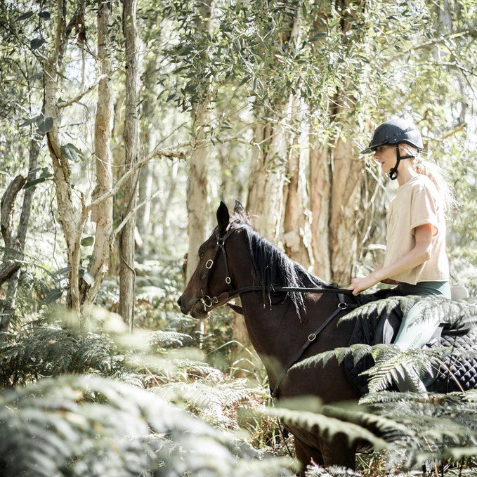Forest To Beach - We Wander