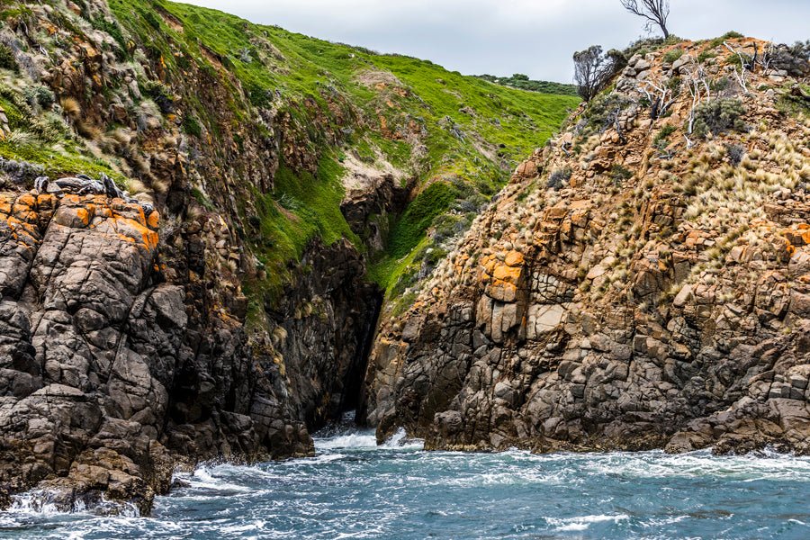 Iron Pot Cruises - We Wander