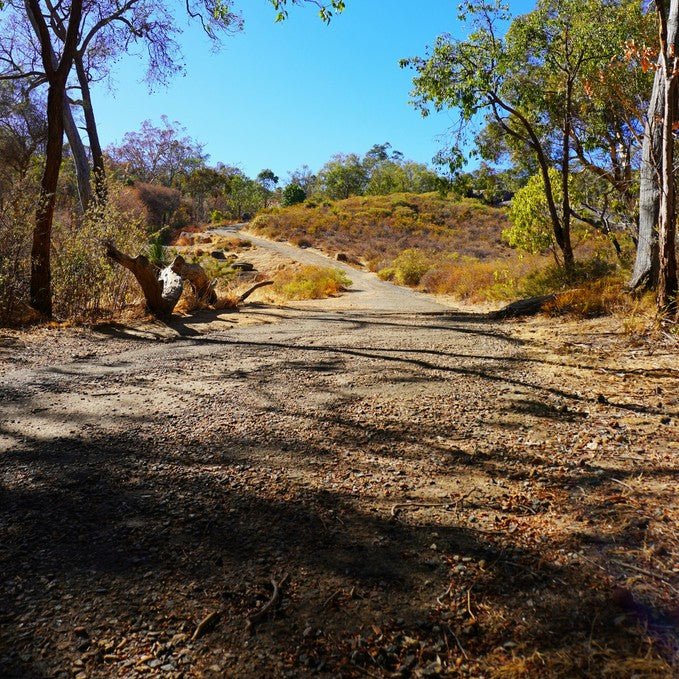 Lesmurdie Falls At Sunset Guided Hike - 4.5 Km & 2 Hrs - We Wander