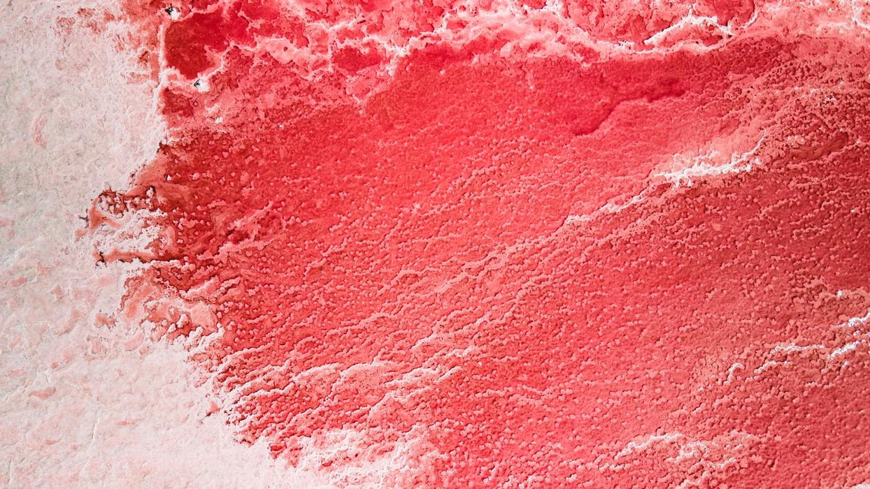 Pink Lake And Abrolhos Islands - Full Day Tour - We Wander