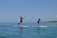 Stand Up Paddle Wildlife Tour & Beach 4X4 Day Trip - Noosa - We Wander