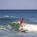 Surf Course (3 X 2Hr Surf Lessons) At Noosa Qld - We Wander
