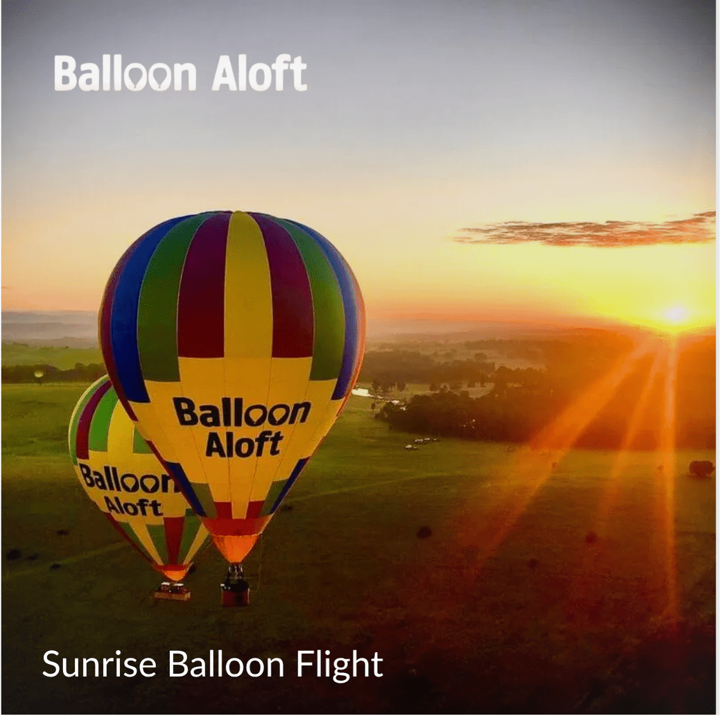 Ultimate - Experience Portfolio for business - We Wander