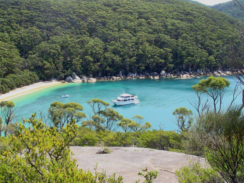 Wilsons Prom Full Day Cruise - We Wander