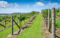 Winery & Waterfall Tour - We Wander